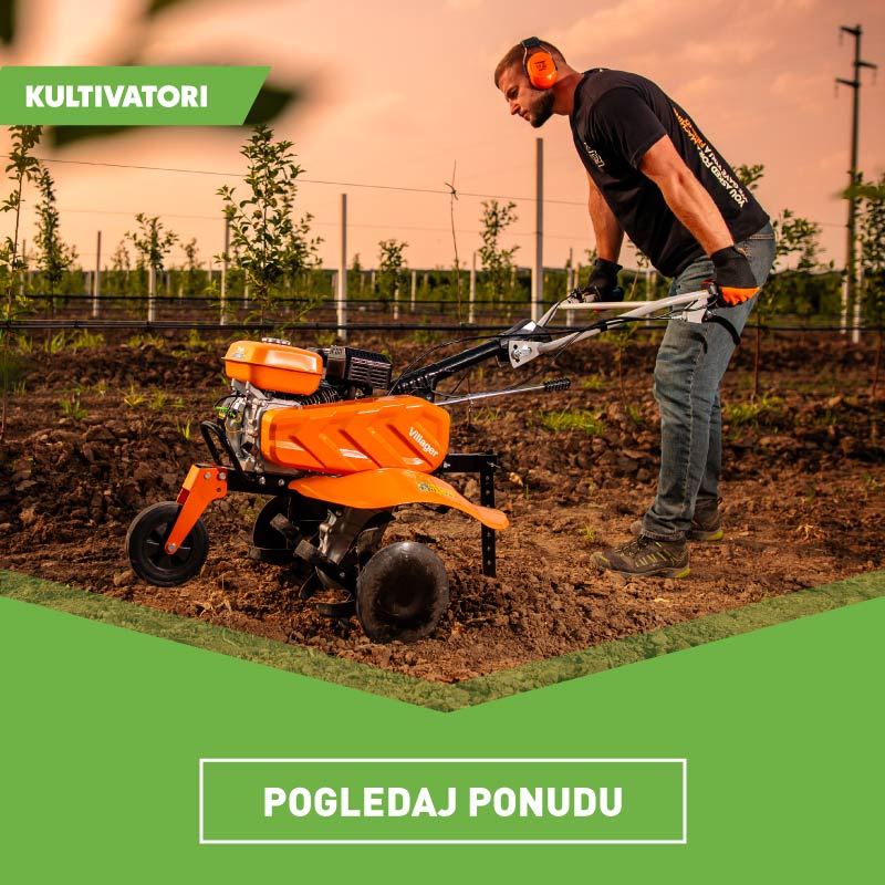 Advertisement popup