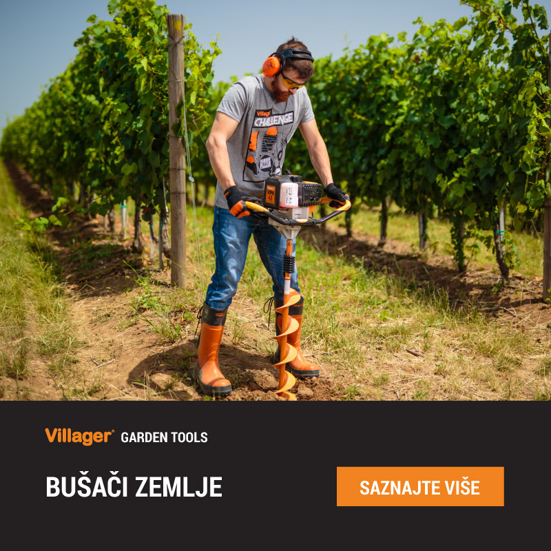 Busaci zemlje