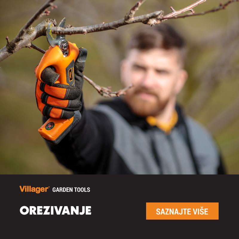 Orezivanje