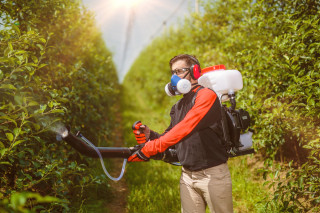 Motorna ledjna prskalica AGM-14 MD 