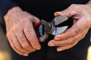 Makaze vocarske 2100 