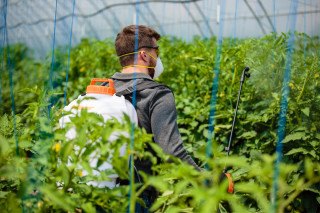 Akumulatorska ledjna prskalica VBS 16 LI - sa nastavkom 