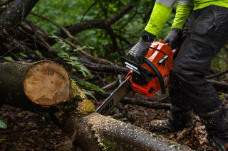 Motorna testera CS-621SX 