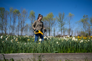 Akumulatorski trimer za travu Stiga GT 100e Kit (sa punjačem i baterijom)