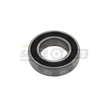 21 - Lezaj rotora 6006Z 