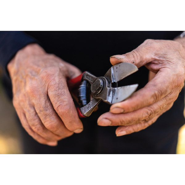 Makaze vocarske 2100 